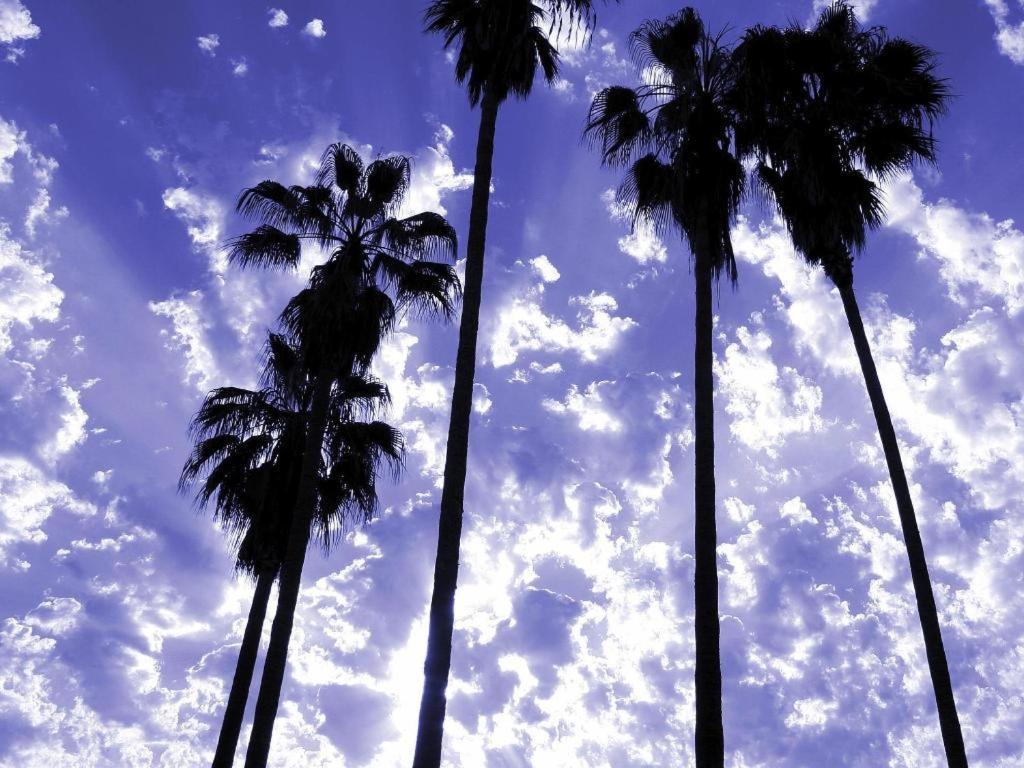 Hotel Parker Palm Springs Exteriér fotografie